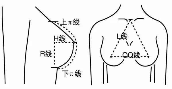 初中女生正常乳房多大初中女生1416岁胸部发育时间