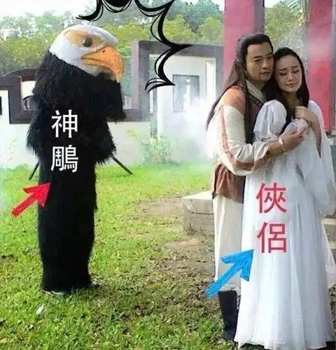 越南翻拍里,那只和杨过相依为命的大雕不就是一个假玩偶吗?