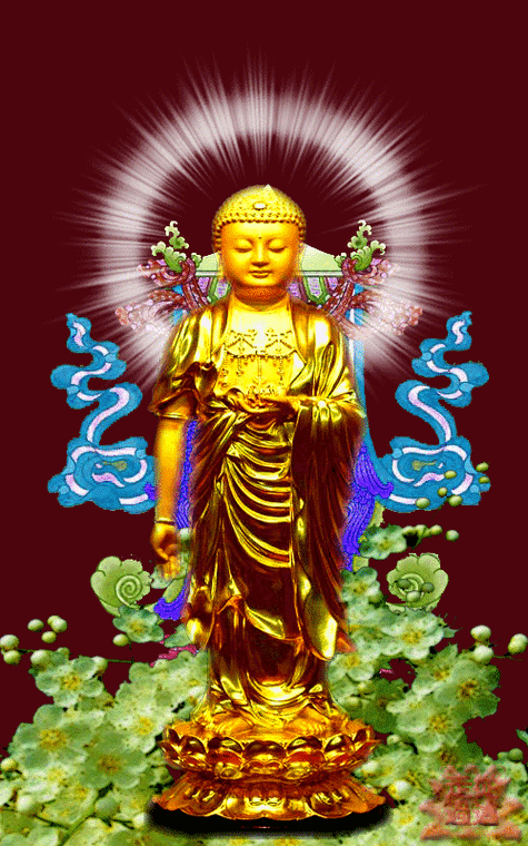 500_800竖版 竖屏gif 动态图 动图