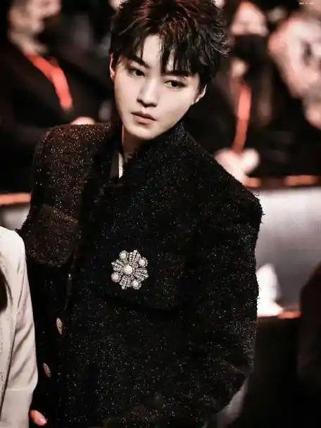 恭喜#王俊凯李玉杨荔钠微博年度关注电影人#,又被王俊凯用脸80了,黑色