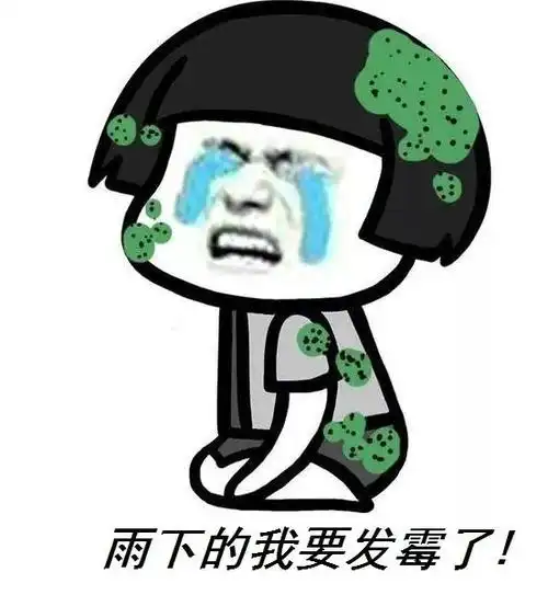 雨04雨04雨04雨04