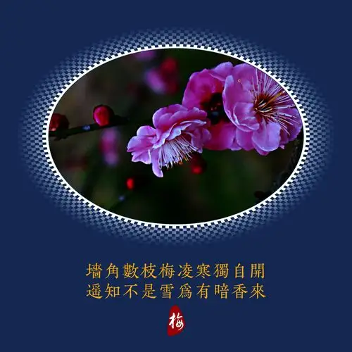 《与薛肇明弈棋赌梅花诗输一首》