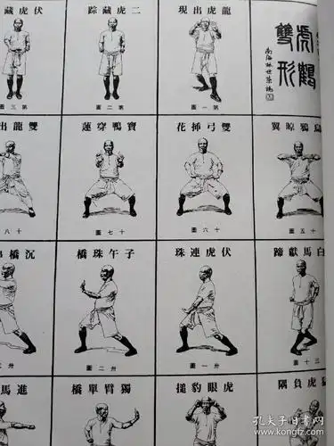 虎鹤双形拳