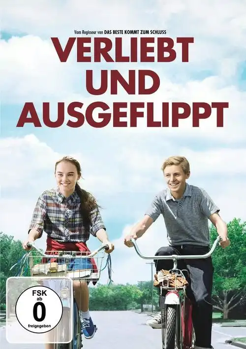 怦然心动flipped电影海报共14张