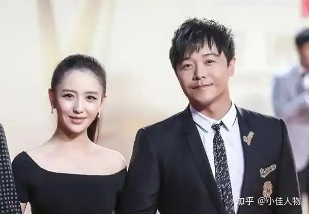 离婚不分家给前夫公司注资网友称佟丽娅傻白甜对陈思诚余情未了