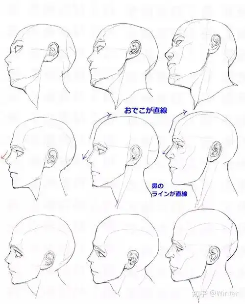 绘画练习素材丨上千个不同角度头部脸型眼睛结构比例表情等练习参考