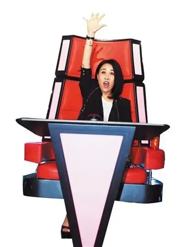 转椅成了"好声音"模式的象征,而电视台的采购者,为哪一档海外节目模式