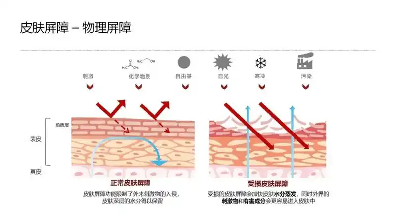 皮肤屏障受损期间需要化妆怎么办皮肤屏障受损好了还能用化妆品吗