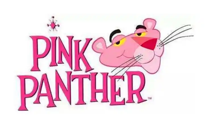 pink是什么意思啊优质