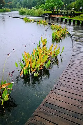 寂寞空亭柳岸边