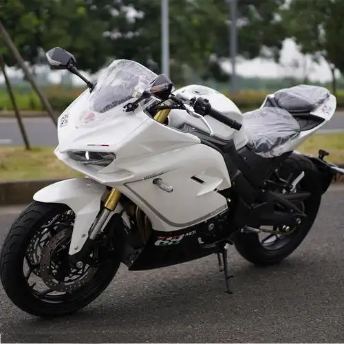 摩托车跑车1199蛟龙200cc重型机车公路趴赛街车摩托车整车