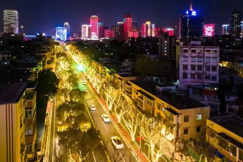 靓!江南大道红棉绽放流光溢彩,老城区焕发新活力