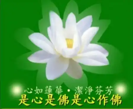 卍卍【跪求转发 阿弥陀佛】钓鱼的血泪忠告 卍卍