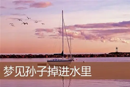 梦见孙子掉进水里_周公解梦梦到孙子掉进水里是什么意思_做梦梦见孙子