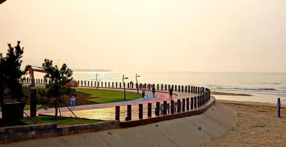 《美丽的黄岛红树林》