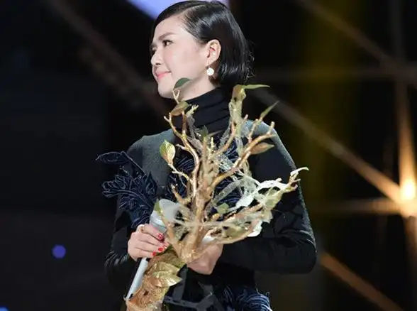 【图】谭维维蒙面歌王歌曲汇集 演唱会再现经典