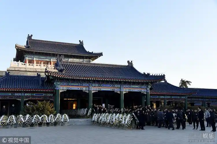 姚晨发文悼念刘江人因为精神的辽阔而自由