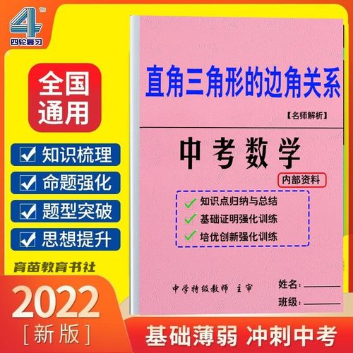 初三九年级数学直角三角形的相似边角关系中考专题训练作业练习本