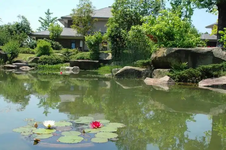 写美篇(2)景石驳岸——相似于溪流景观的施工工艺.