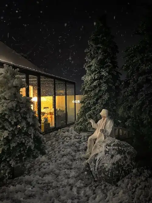 深圳下雪76芬兰同款森林秘境玻璃屋咖啡店