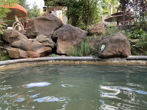 2020 长白山温泉皇冠假日酒店