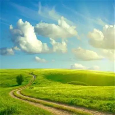 会带来好运的微信头像图片