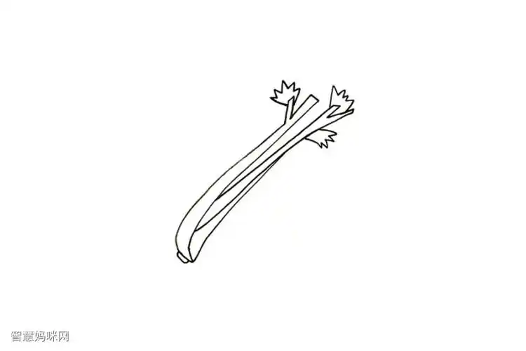 蔬菜简笔画大全芹菜简笔画怎么画