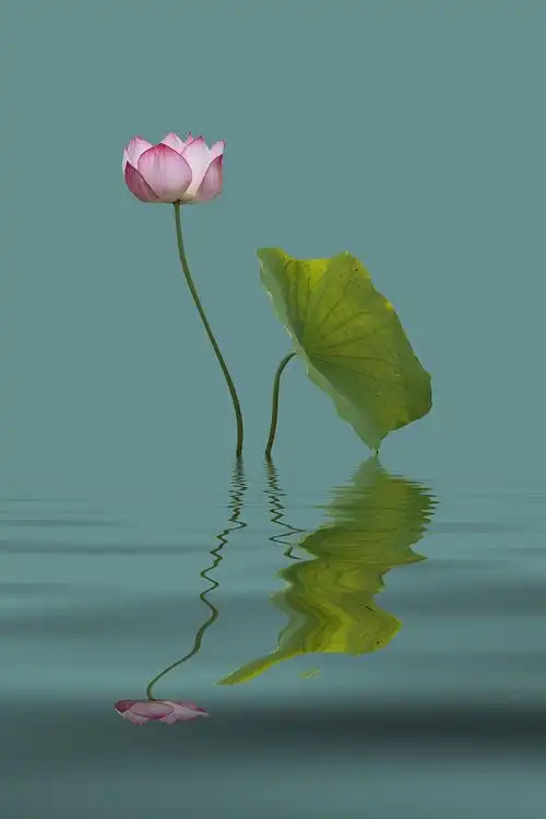 图片来源:视觉中国