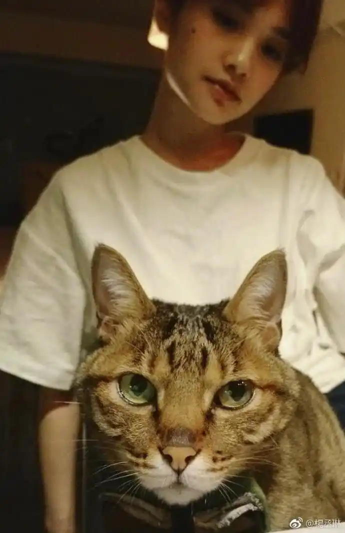 组图:吴青峰掌镜为爱猫与杨丞琳拍合照 只有猫脸清晰