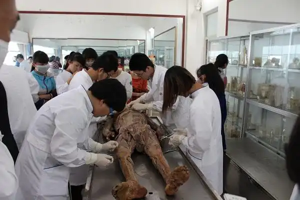 医学生第一次上人体解剖课的感受是怎样的?