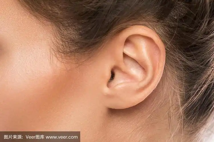 女性的耳朵