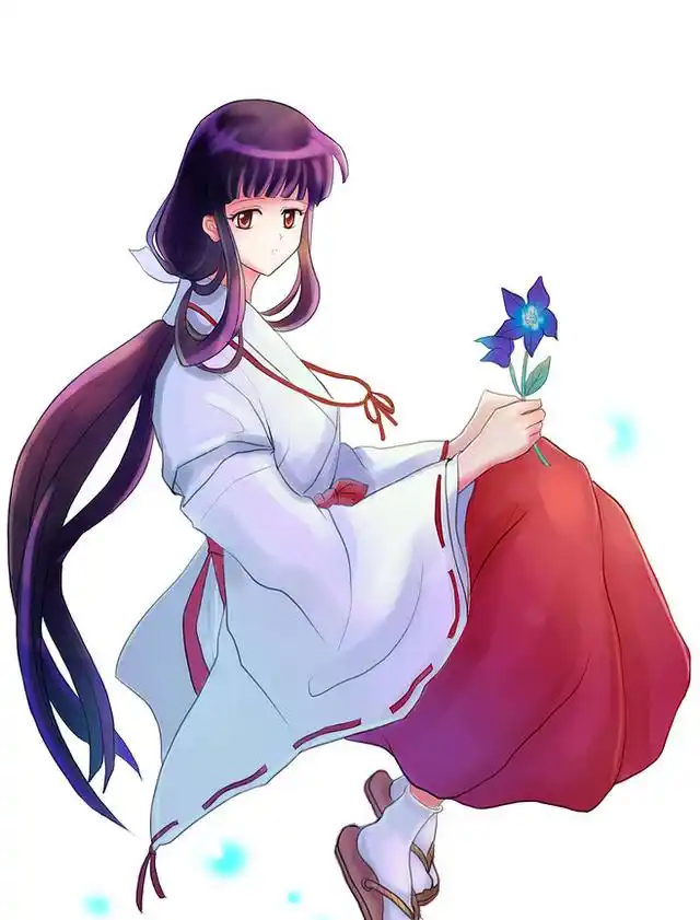 犬夜叉里美貌与实力并存的巫女,犬夜叉心爱的女人桔梗美图