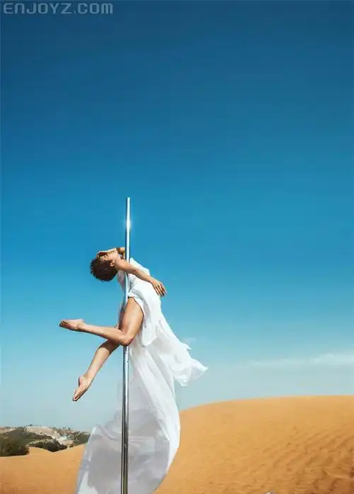 钢管舞女神唯美写真每日粉丝福利114期