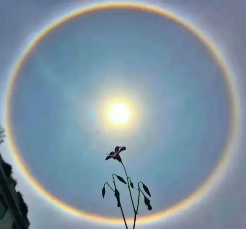 漂亮的日晕2017年5月16日铜仁天上的太阳