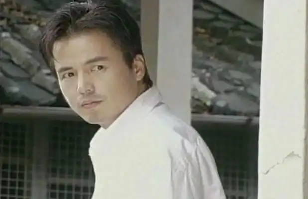 在琼瑶剧《一帘幽梦》等黄金档电视连续剧中饰演男主角,以其独特的