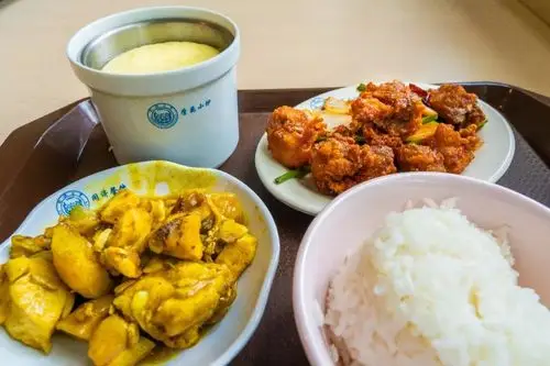 别人家的大学食堂丨同济篇