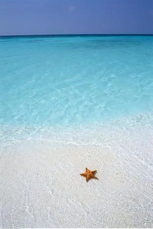 唯美风景 海洋 沙滩 自然风景 iphone手机壁纸 唯美壁纸 锁屏