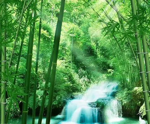 竹林风景画