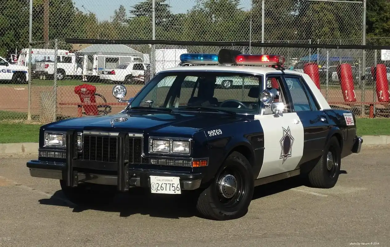 你在抖音搜什么 #美国 #警车 #l - 抖音