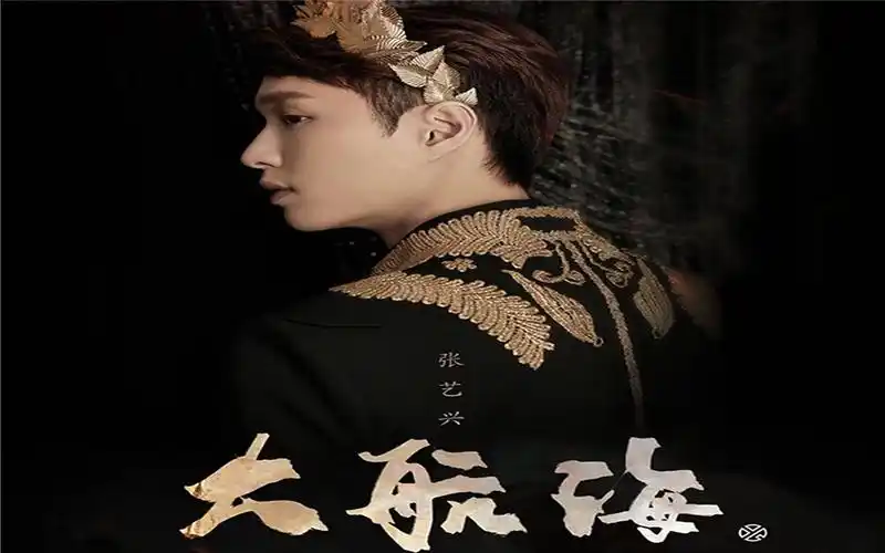 【红兴cp】【大航海演唱会】【张艺兴混剪】