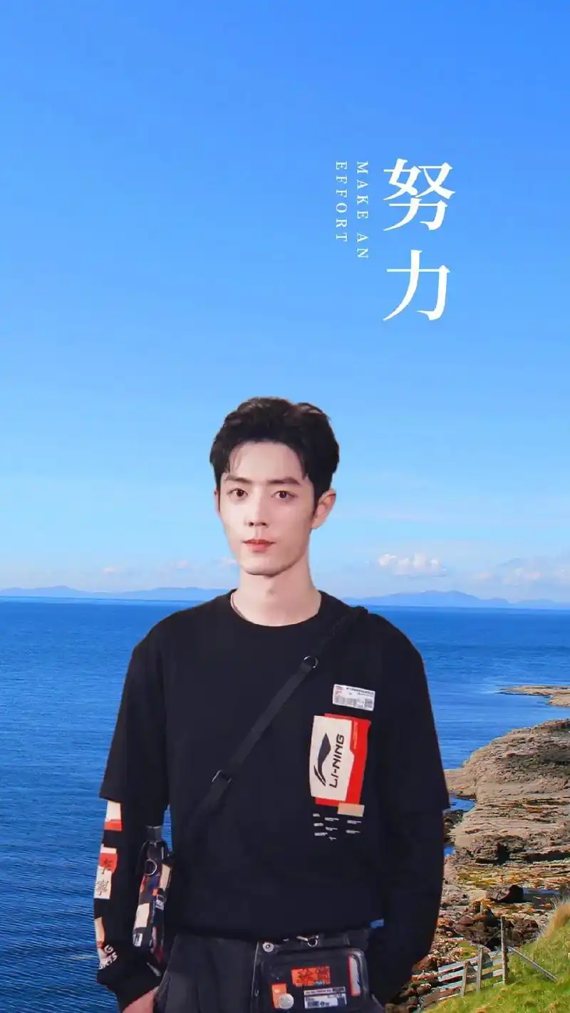 努力 坚持 下一个成功的就是你99 肖战壁纸#肖战的小飞侠  - 抖音