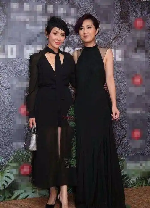 她这次出席活动的时候就可以明显看出她比刘嘉玲的身高确实会更高一点