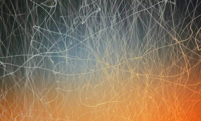 凌乱线条 艺术壁纸 艺术图片大全 艺术桌面壁纸大全 免费艺术高清壁纸