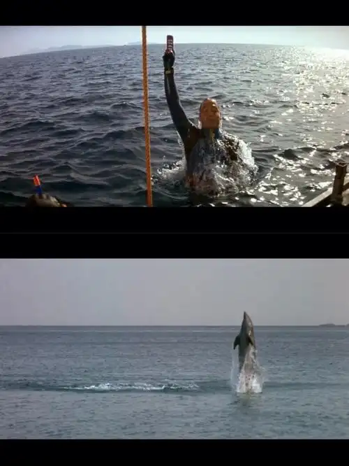 碧海蓝天迟来的震撼值得怒刷n次的电影