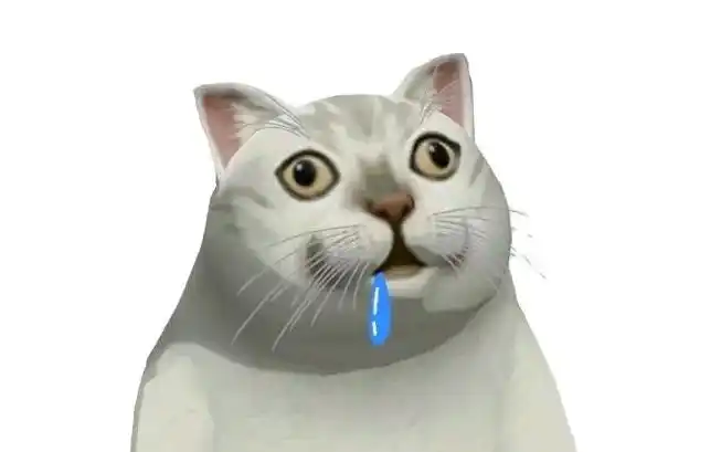 你知道风靡全网的mur猫表情包怎么制作的吗