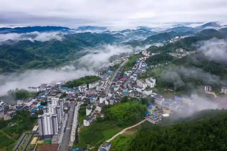 将融合写进乡村振兴答卷恩施市白杨坪镇创建国家农村产业融合发展示范