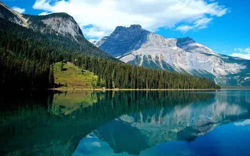 绿色护眼清新自然风光图片高清桌面壁纸_风景壁纸_壁纸下载_美桌网