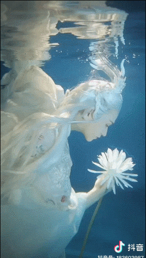 抖音网红处理假账号公关,和李子柒差了不止一点