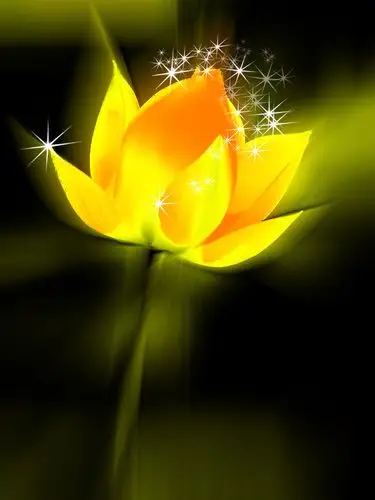 ps制作金色莲花