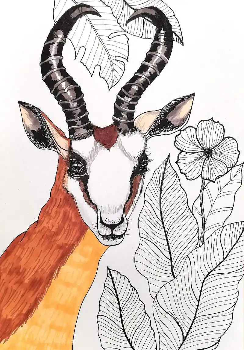 绘画的过程就是一个储蓄罐.#绘画 #手绘 #藏羚 - 抖音